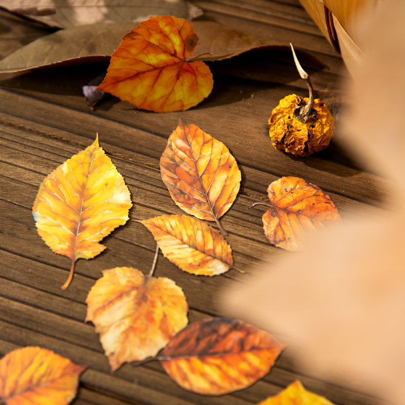 Journal GO 20pcs Golden Autumn - Art And Craft Autumn recensie en prijs