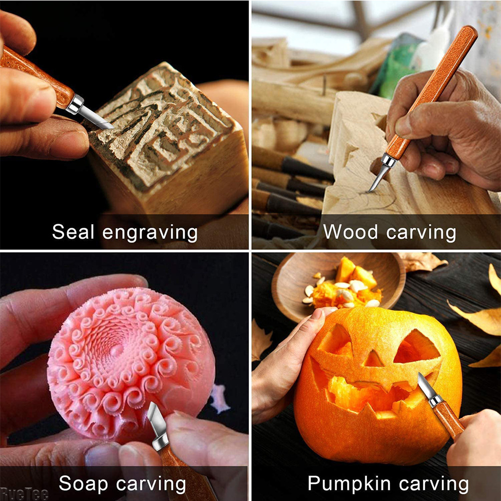12Pcs SK2 Woodworking Carving  - Craft Art Set recensie en prijs